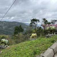 Zhinan Temple ตามหานักสัตว์ 12 ราศี