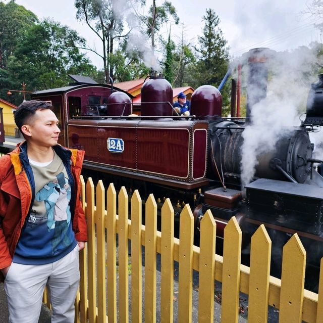 Charming Escape: My Puffing Billy Railway Experience