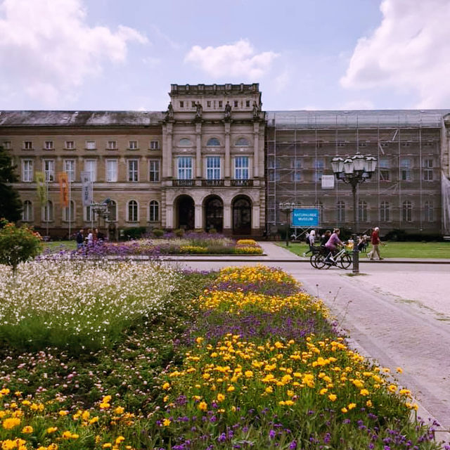 City of Delights: Karlsruhe's Unexpected Treasures
