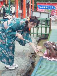 名古屋行-犬山和服體驗👘