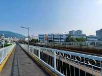 宜賓鐵道迷必去景點