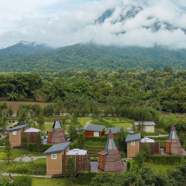 ⛰️💚 ฤดูภูเขา เชียงดาว จ.เชียงใหม่