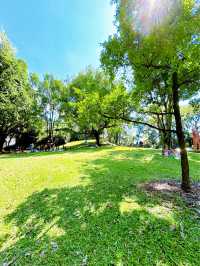 Peaceful Greenery Escape at Fort Canning Park