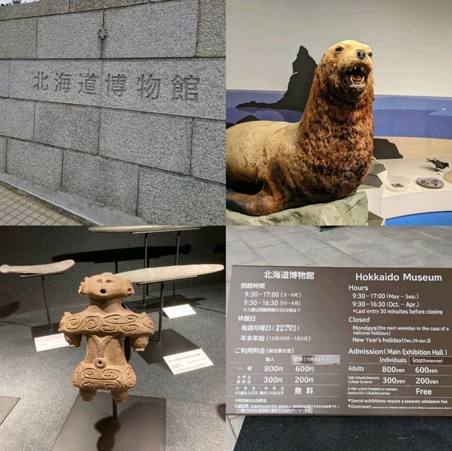 札幌好去處推介📸📸📸〈北海道博物館〉