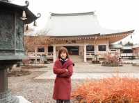 ⛩️วัดโกโตกุจิ โตเกียว วัดแมวกวัก Gotokuji Temple