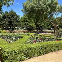 Sips in Stellenbosch: A Wine Lover's Paradise