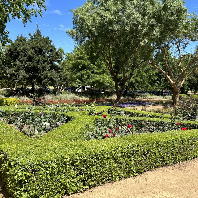 Sips in Stellenbosch: A Wine Lover's Paradise