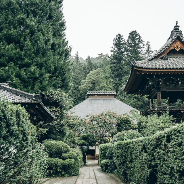 早朝座禅が体験できるお寺【別所温泉】