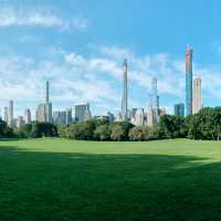 Urban Oasis: A Perfect Day in Central Park