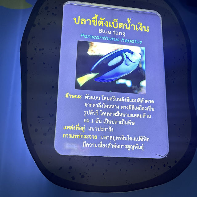  ศูนย์เรียนรู้โลกใต้ทะเล บางแสน