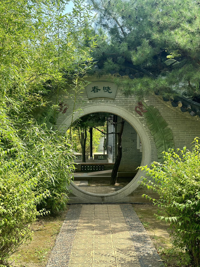 도심 속 중국식 전통공원 월화원 🌿