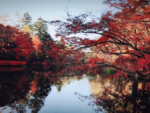 日本🇯🇵輕井澤 - 雲場池 最美的賞楓🍁地點