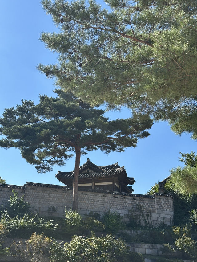 World Heritage Site Changdeokgung Palace and Secret garden (shhhh!)