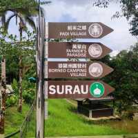 Trip with Family