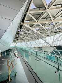苗栗銅鑼 散步放空賞山巒