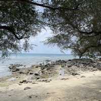 เกาะเสม็ด 