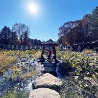 My Island Tour Around Nami Island 🇰🇷
