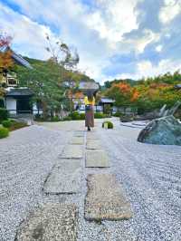【京都/紅葉スポット】お部屋の中から見る中庭と枯山水が見事なお寺🍂🌾