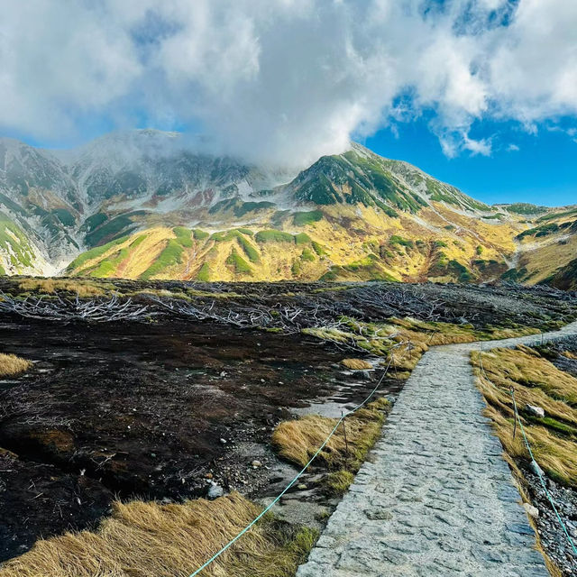 禮文岳：初秋色彩下的壯麗山景 🏞️🍂