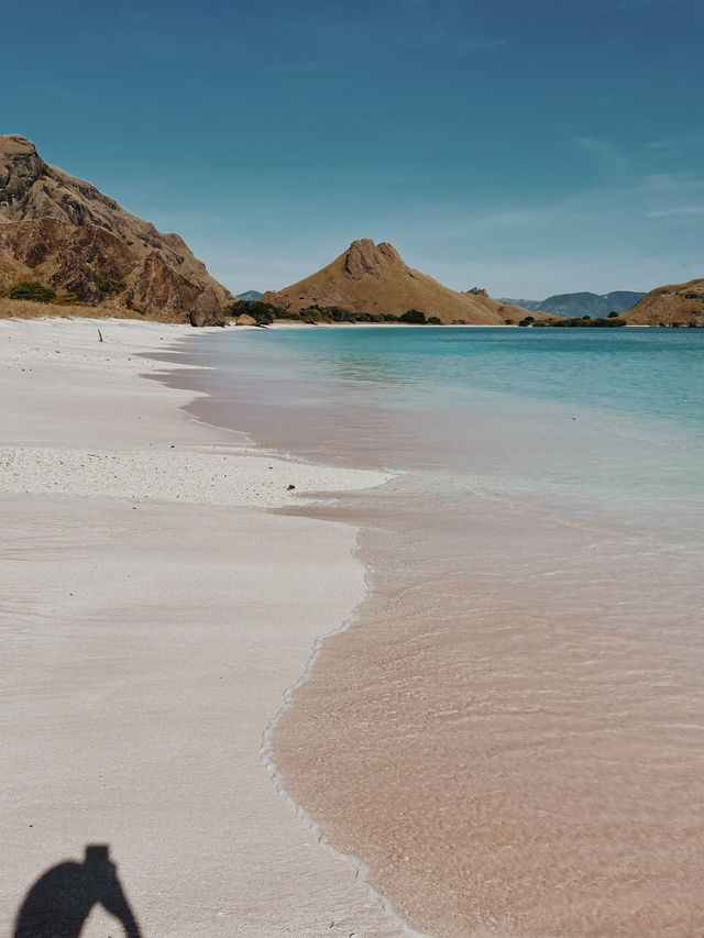 3 Days Sailing Through Komodo Islands: A Journey into Nature’s Wildest Wonders 3 Days Sailing Through Komodo Islands: A Journey into Nature’s Wildest Wonders