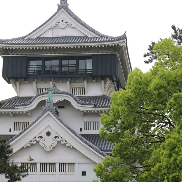 北九州景點｜北九州賞櫻勝地．續百大名城—小倉城