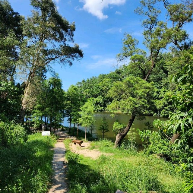 香港流水響水塘🏞丨2小時路程賞天空之鏡！