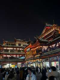 Yuyuan Old Street: A Journey Through Time Amidst Nighttime Lights