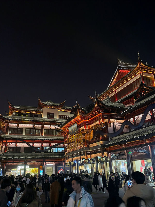 Yuyuan Old Street: A Journey Through Time Amidst Nighttime Lights