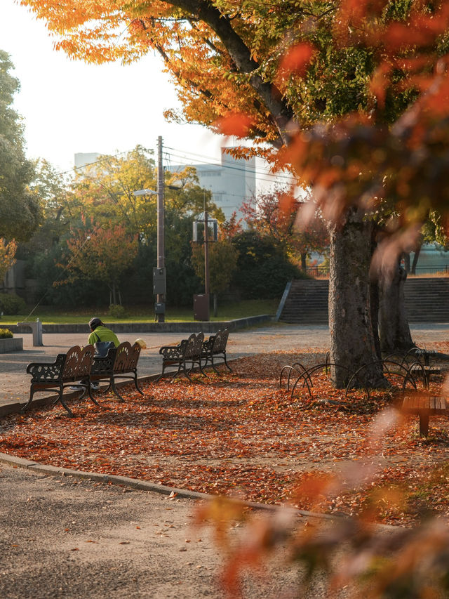 【大阪】紅葉が美しい！秋の大阪城🏯