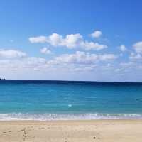 【奄美大島】美しい海と島とうふ屋の味わい