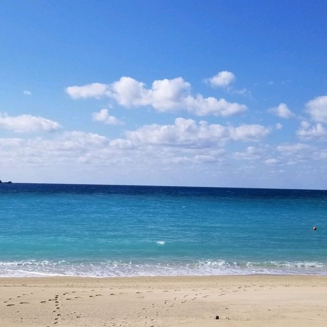 【奄美大島】美しい海と島とうふ屋の味わい