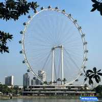 Sunrise Serenity: Marina Bay Sands Morning Stroll