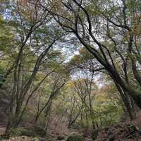 三池岳：初秋絕美🏞️🍂