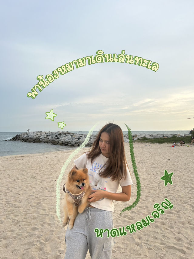 พาน้องหมามาเดินเล่นทะเล🐶🏖️