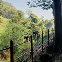 Curug Sewu Waterfall