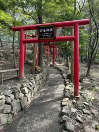 蔵王きつね村🦊