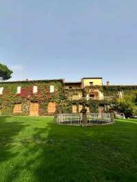 「11月酒店試睡員」- Biondi Santi葡萄園：紅酒之父Brunello Di Montalcino的葡萄園