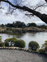 《熊本水前寺成趣園》：尋找寧靜與自然之美的心靈之旅