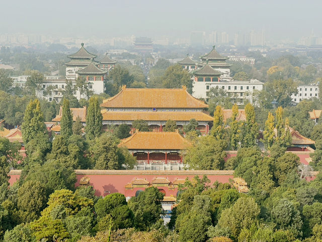 Forbidden city 