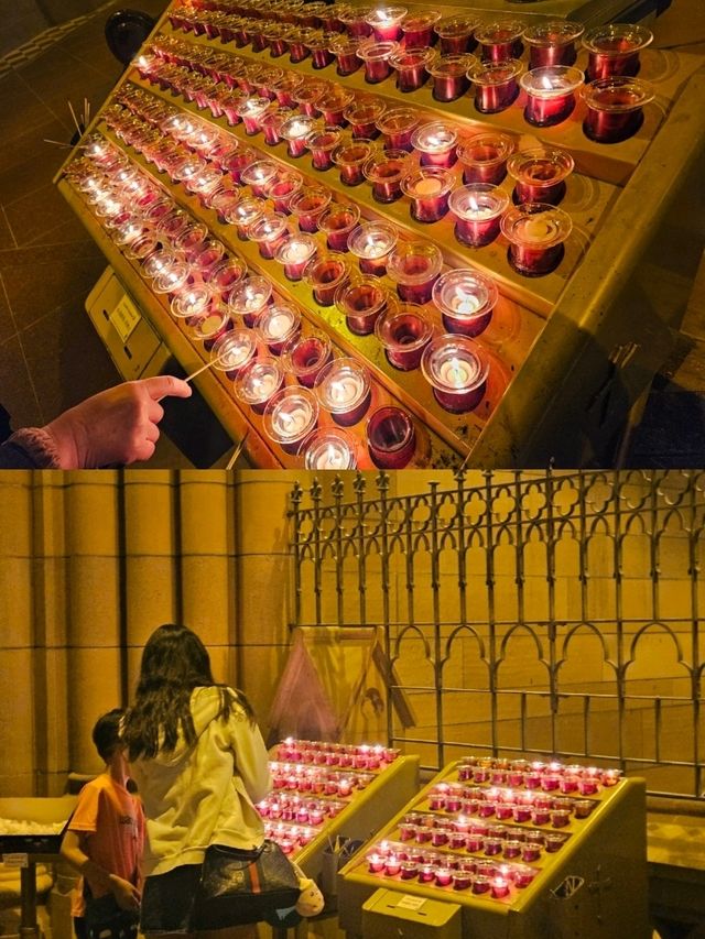 호주 시드니 시내에서 본 웅장한 성당 ⛪