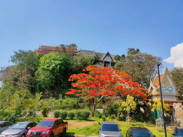 Serenity at Wat Ko Loi Temple