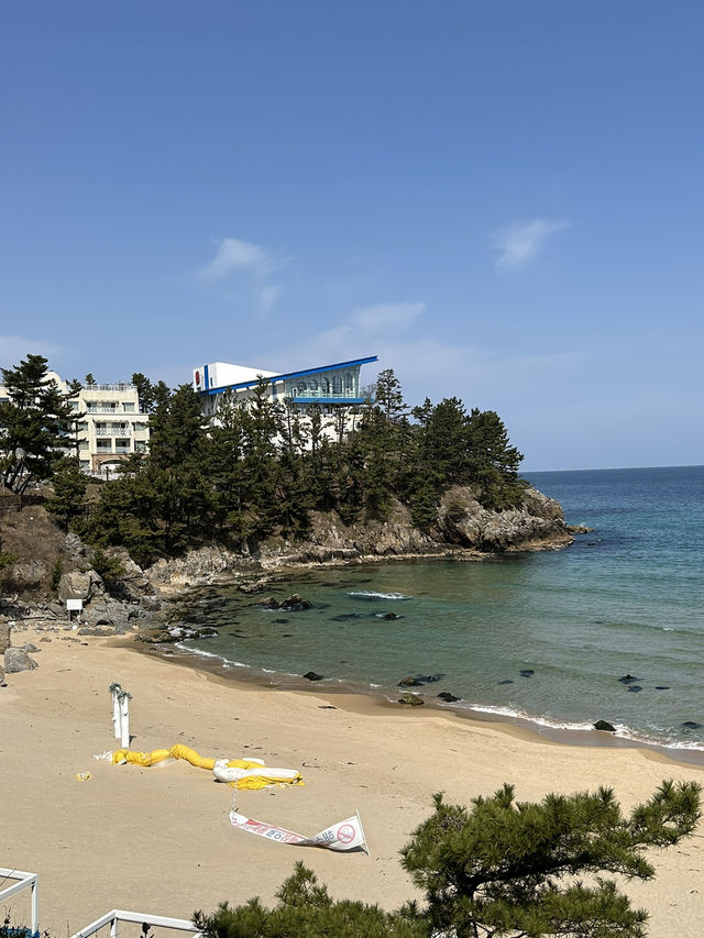 데이트하기 좋은 삼척🌊💙