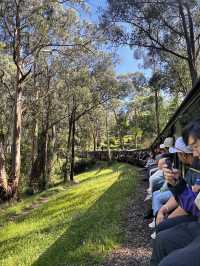 Day trip to Puffing Billy Railway 🚂