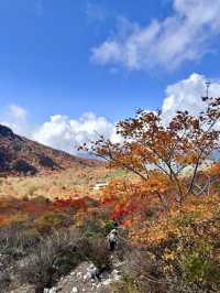 【栃木】死ぬまでにみたい絶景の紅葉