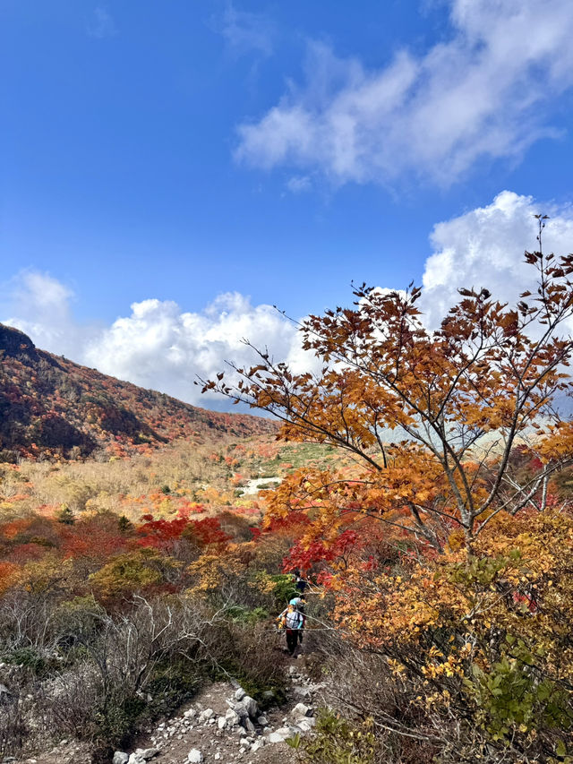 【栃木】死ぬまでにみたい絶景の紅葉