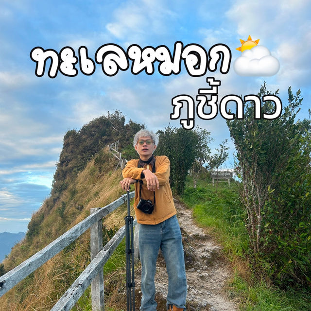 ⛅️เที่ยวภูชี้ดาว ดูทะเลหมอกตอนเช้า จ.เชียงราย