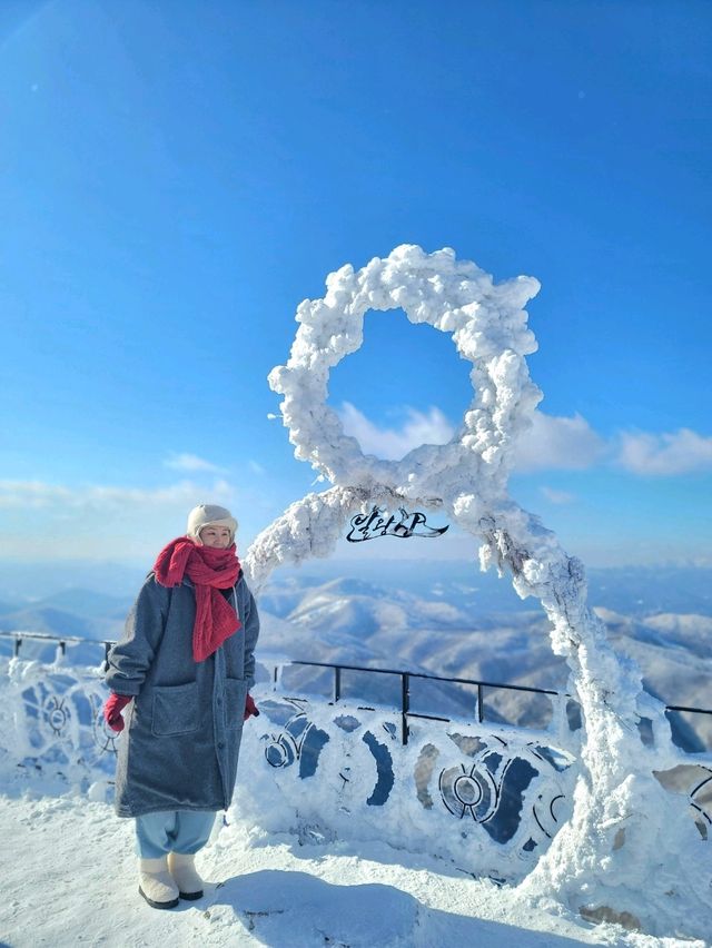 한국의 삿포로 평창으로 가야하는 이유❄️