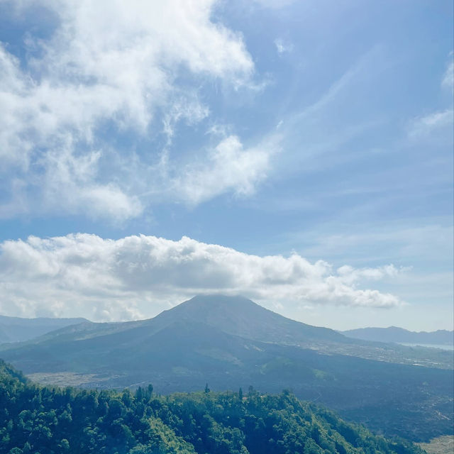 Pahdi Specialty Coffee