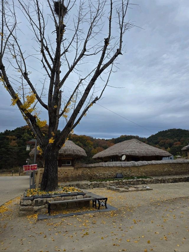 늦가을 즐기기좋은 만추의 성주 한옥마을💛