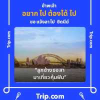 คาเฟ่ลับ กลางเขานางพันธุรัต 